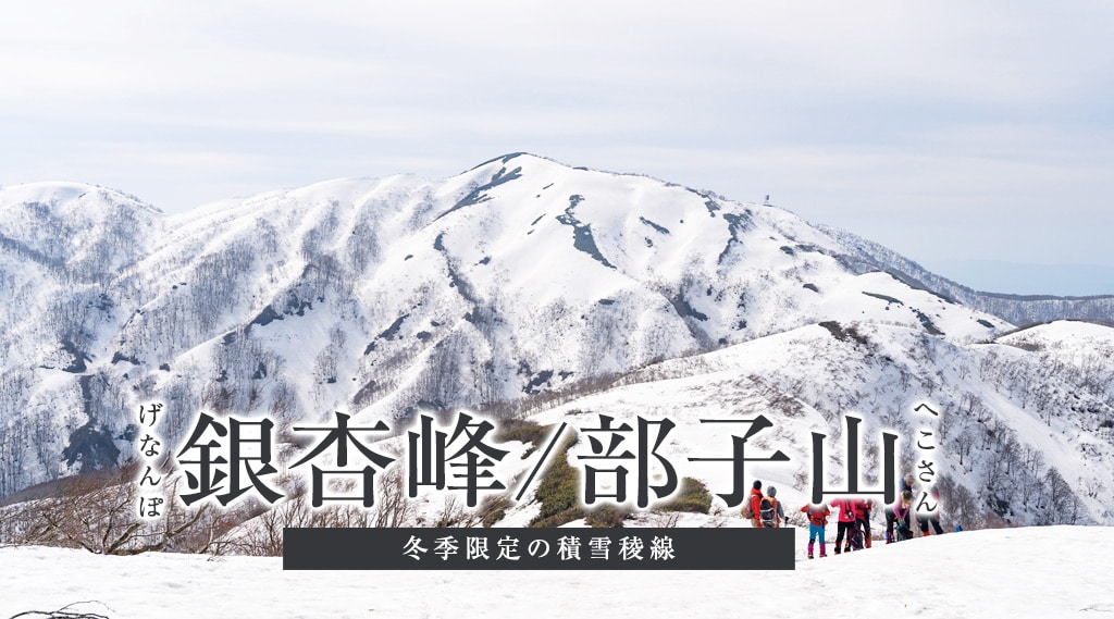 銀杏峰・部子山｜積雪期のみ歩ける稜線ハイク